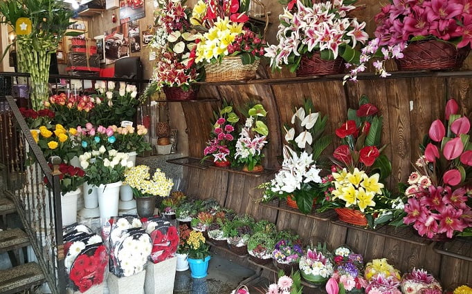 قیمت مناسب